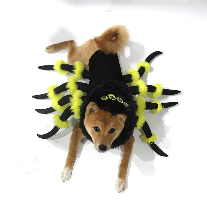 Pet to Spider transformation costume