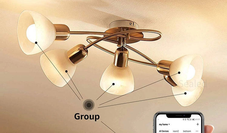 Smart WIFI Bulb Light BR30 9W Colorful RGBCW Voice Control Speaker