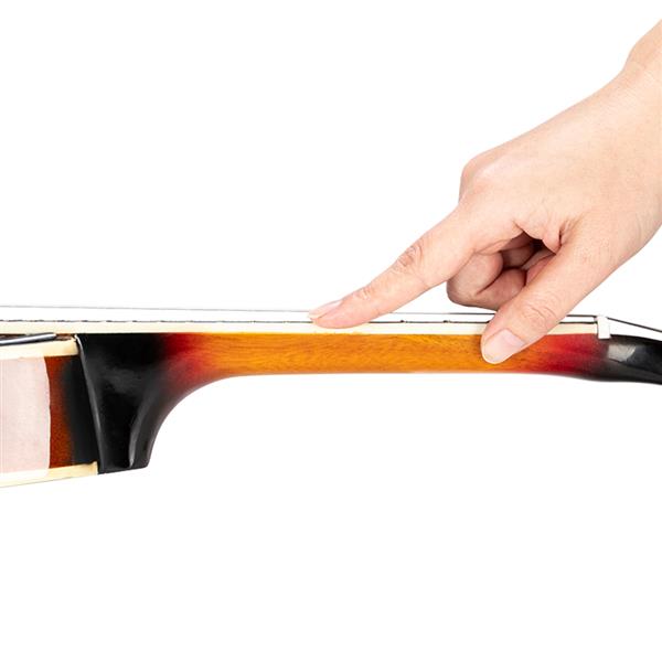 Mandolin with Guard Board