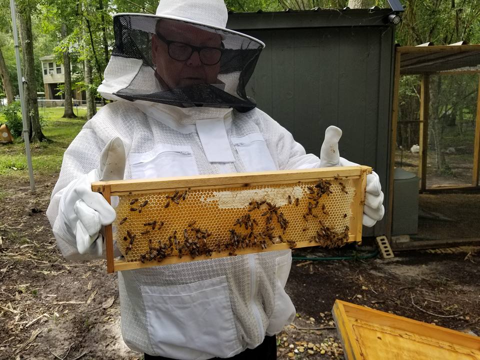 Bread & Butter Pickle Honey