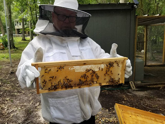 Bread & Butter Pickle Honey