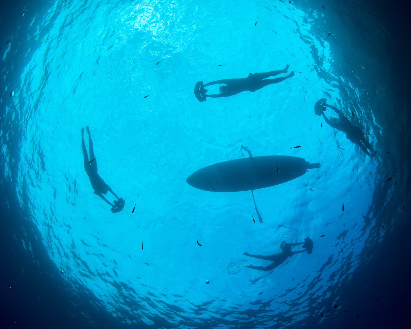 Tini Paddleboard Engine Mounts Power Conversion Kit