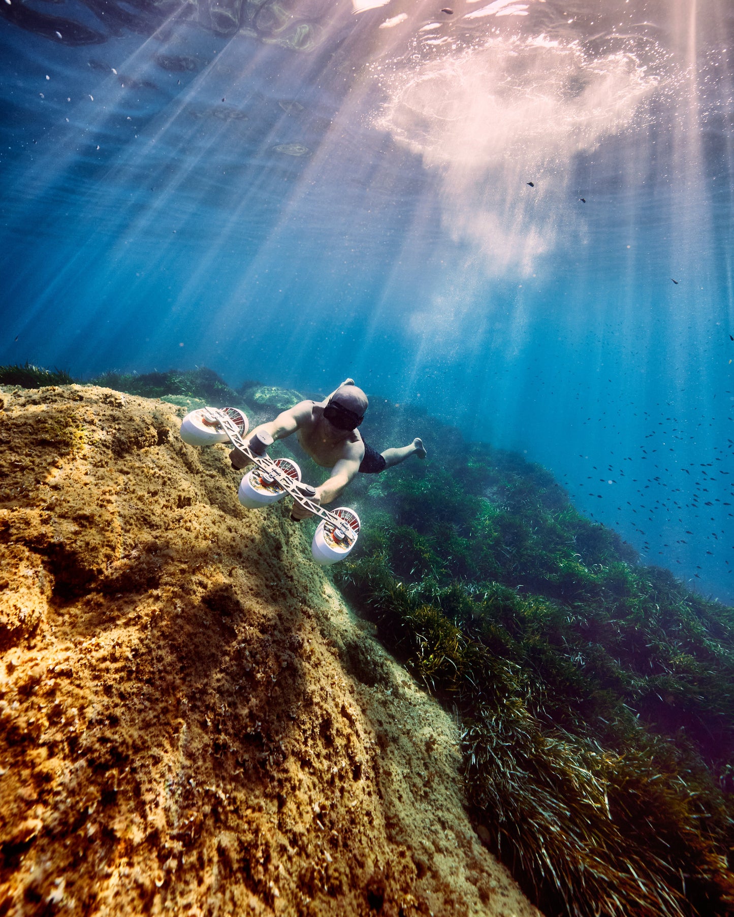 Tini Triple-Engine Support Handle