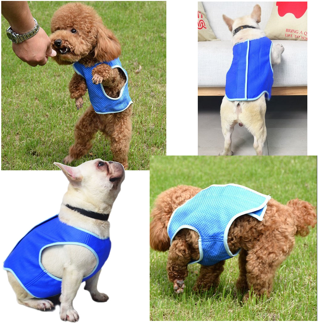 Summer Cooling Vest - Ultimate Heat Relief for Dogs and Cats, Stylish Pet Apparel for Outdoor Activities, Breathable and Comfortable Design for Hot Days （L码）