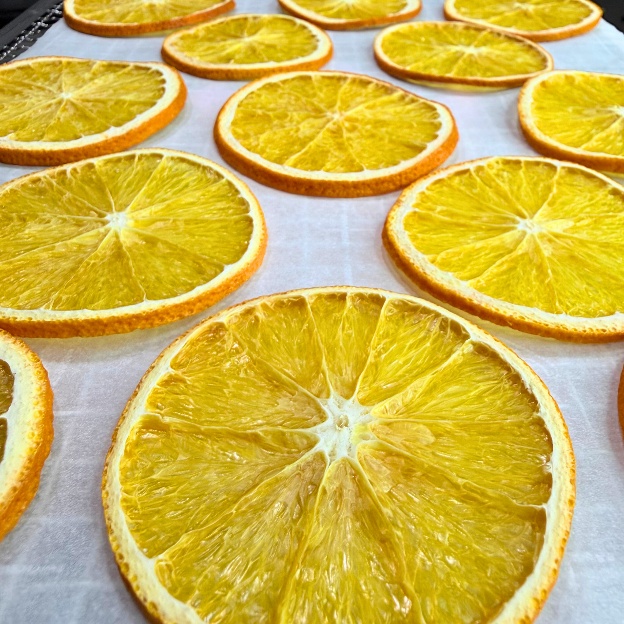 Dehydrated Orange Slices | Dried Oranges for Bar & Home Decor