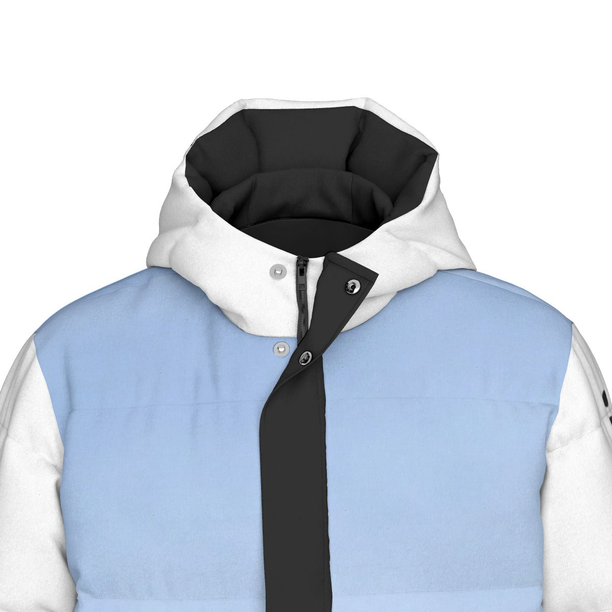 NEW!!! "THAT PART" branded left sleeve/ HOLLYWOOD Sign rear Unisex Long Down Jacket