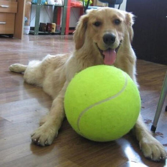 9.5 Inches JUMBO Dog Pet Tennis Ball