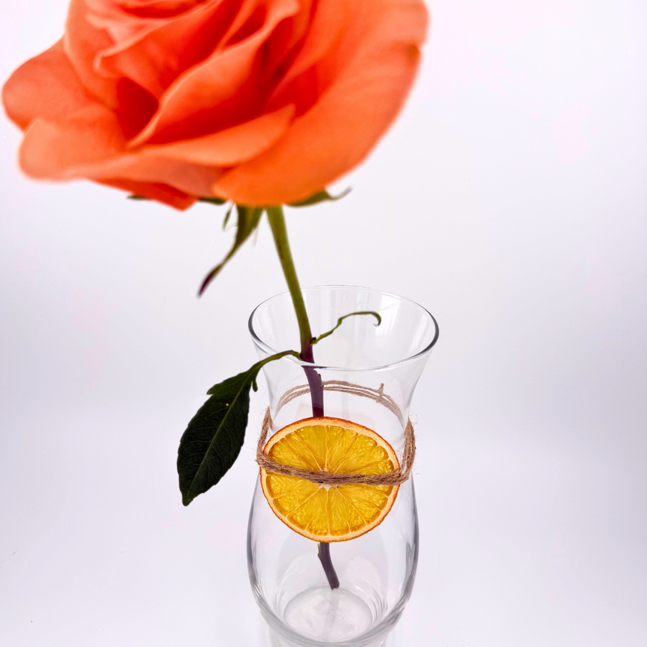 Dehydrated Orange Slices | Dried Oranges for Bar & Home Decor