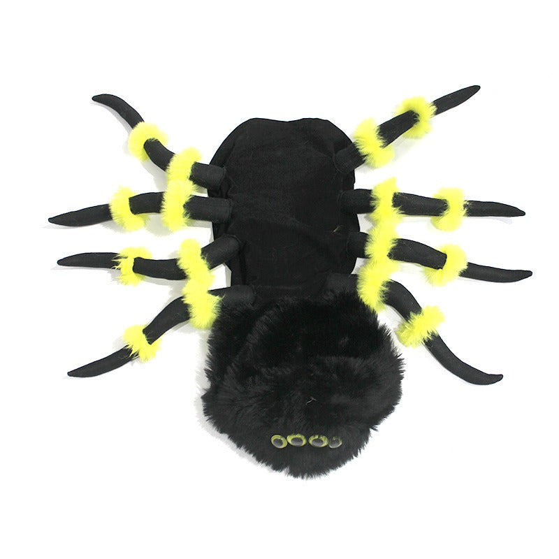 Pet to Spider transformation costume