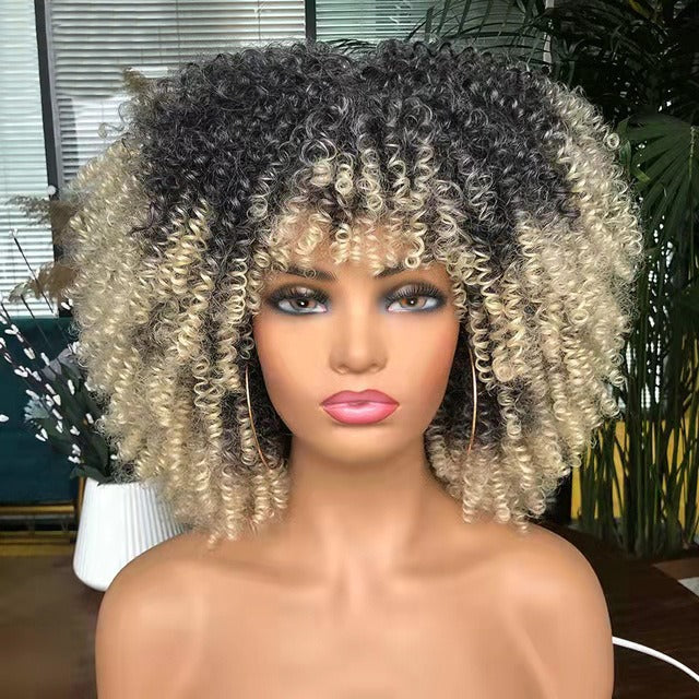 Curly Hair Explosion Head Black Chemical Fiber Wig Full Head