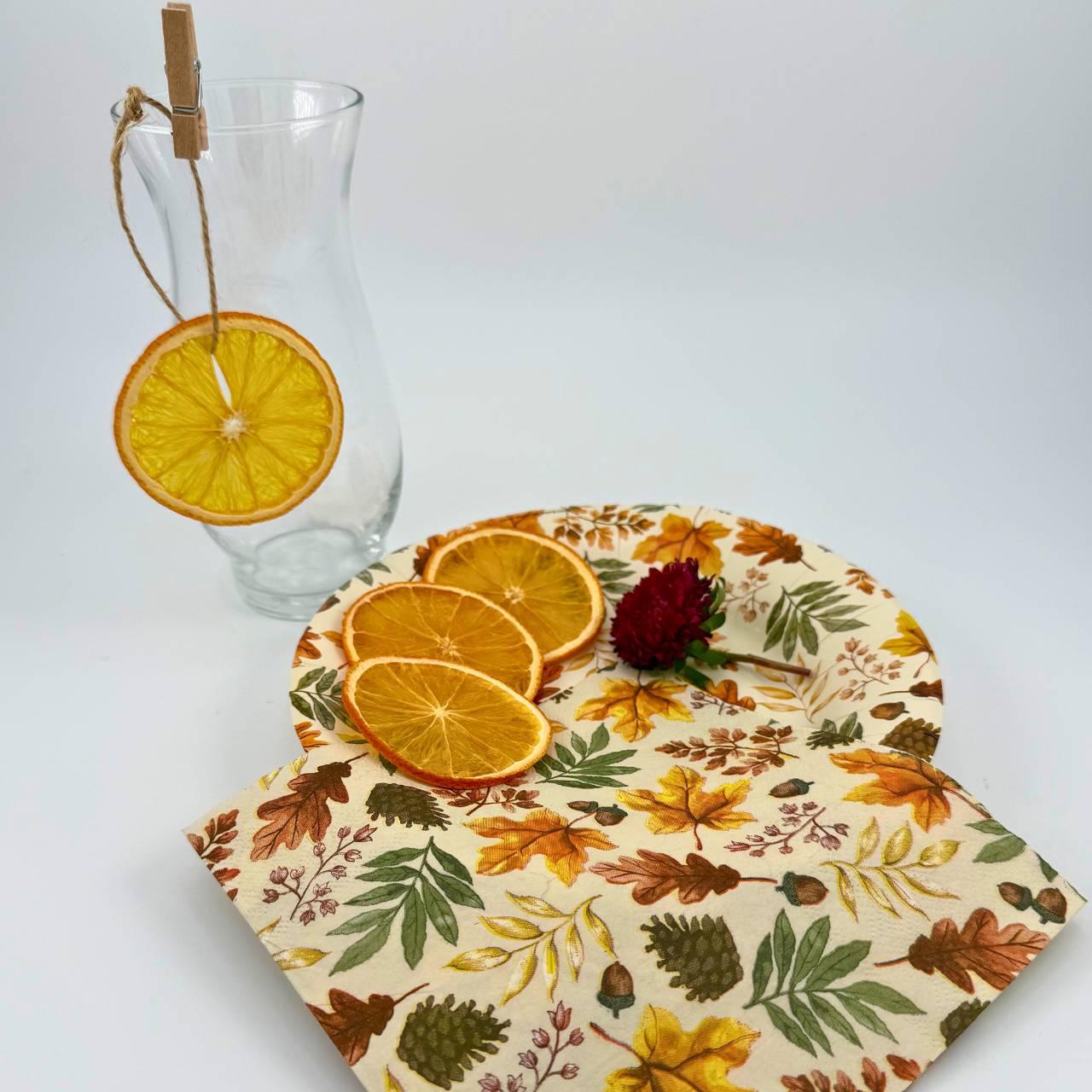Dehydrated Orange Slices | Dried Oranges for Bar & Home Decor