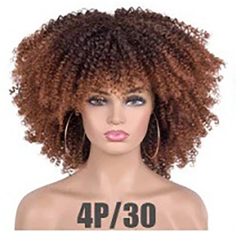 Curly Hair Explosion Head Black Chemical Fiber Wig Full Head