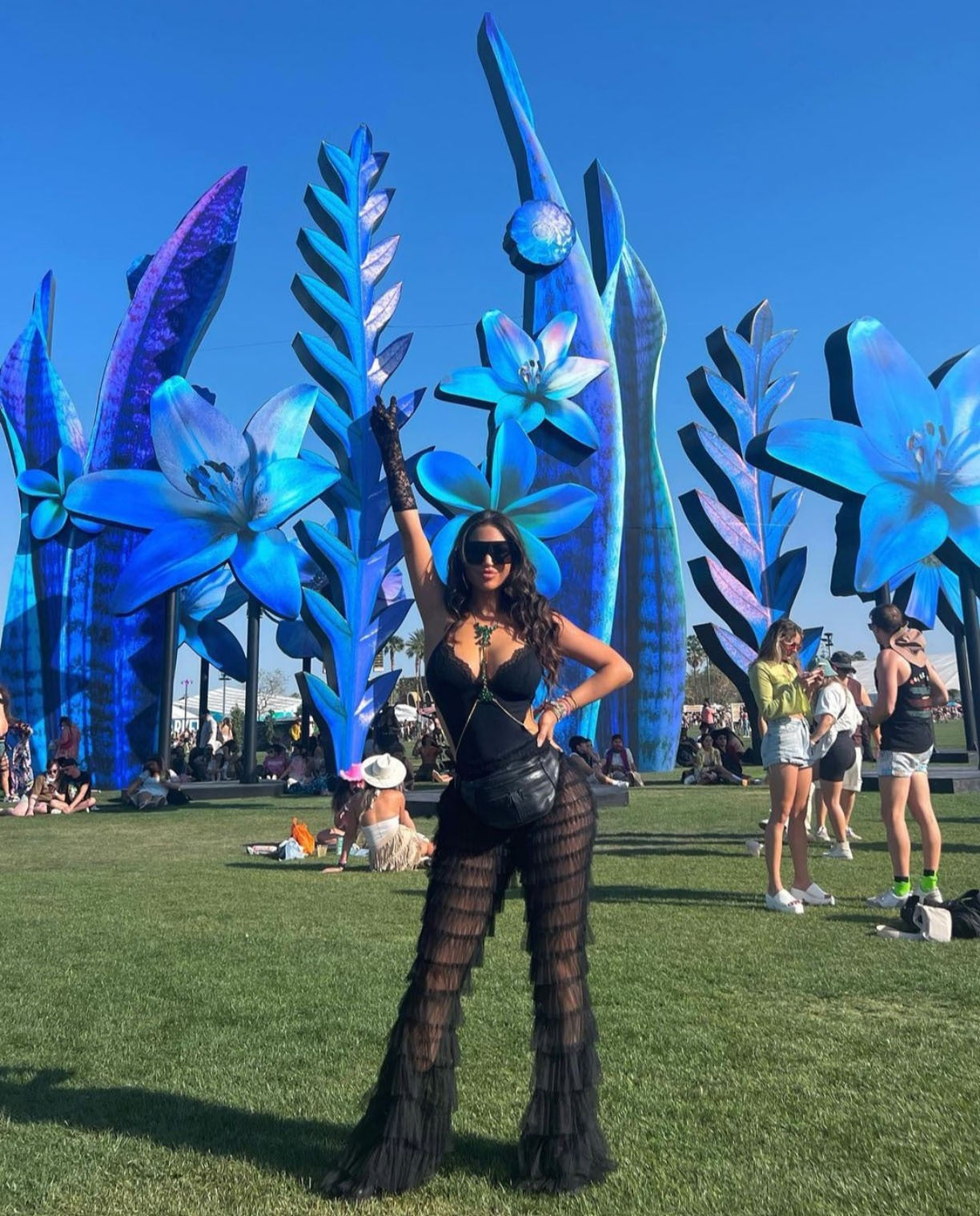 Layered Mesh Flare Pants