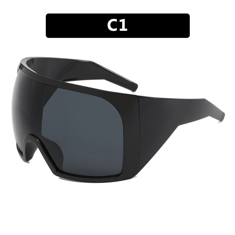 Oversized Frame Sunglasses