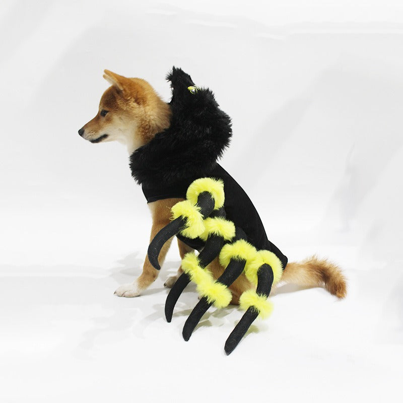 Pet to Spider transformation costume