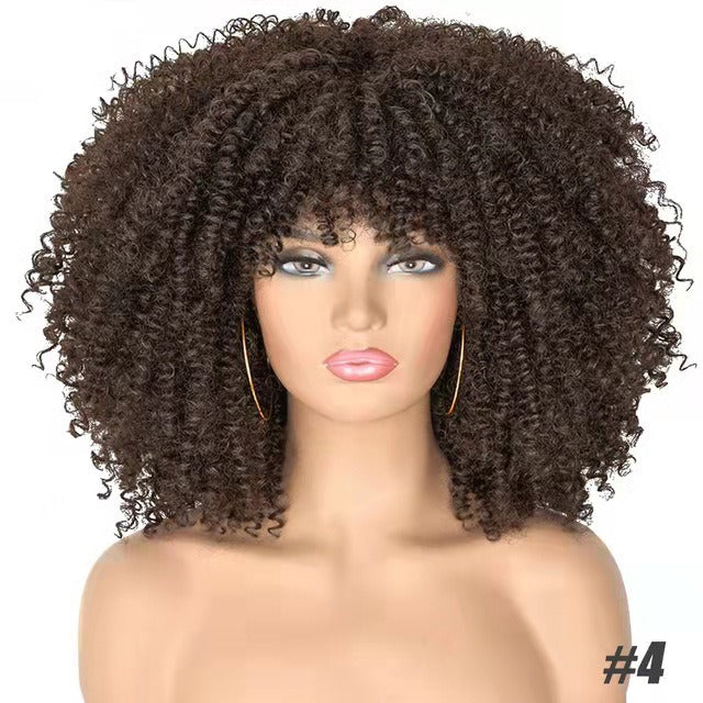 Curly Hair Explosion Head Black Chemical Fiber Wig Full Head