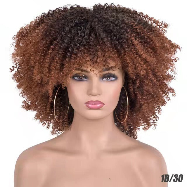 Curly Hair Explosion Head Black Chemical Fiber Wig Full Head