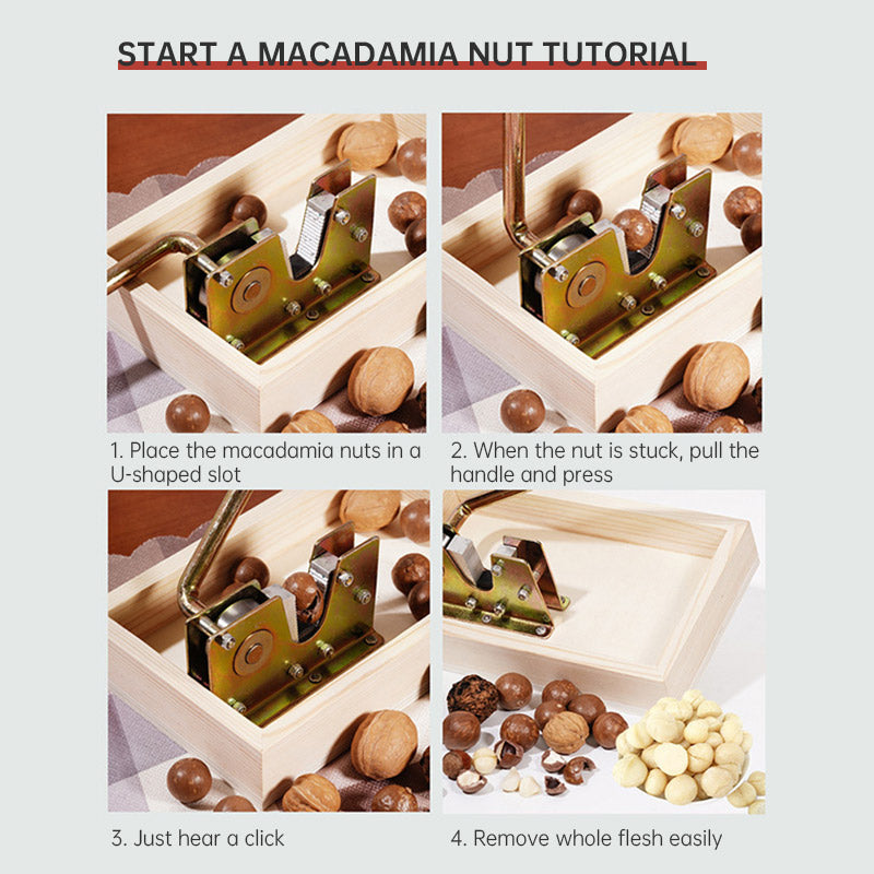 Nut Opener, Walnut, Australian Magnolia Nut, Fresh Raw Nut Clip, Shell Opener, Shell Opener, Fruit Opener Clip