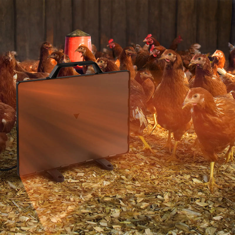 160W Thermostatic Heating Panel for Chicken Coop and Pets, 0-99°C Radiant Heater