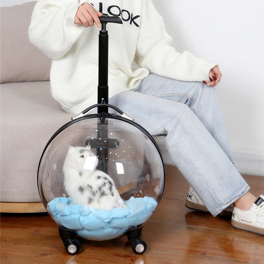 Rolling Pet Travel Trolley with Wheel, Transparent Capsule, Puppies, Dogs, Cat Carriers Bag, 5-20Kg