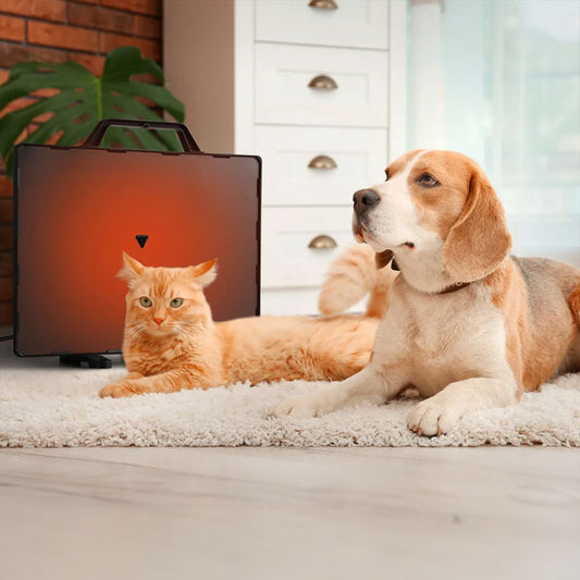 160W Thermostatic Heating Panel for Chicken Coop and Pets, 0-99°C Radiant Heater