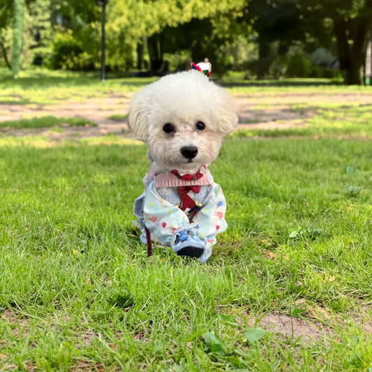 Protective Shoes/Trousers, Small Pet Wear