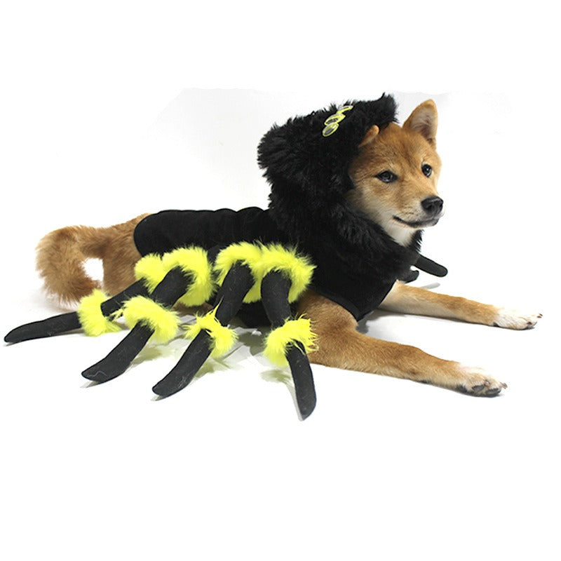 Pet to Spider transformation costume