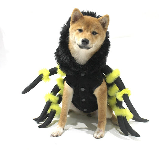 Pet to Spider transformation costume