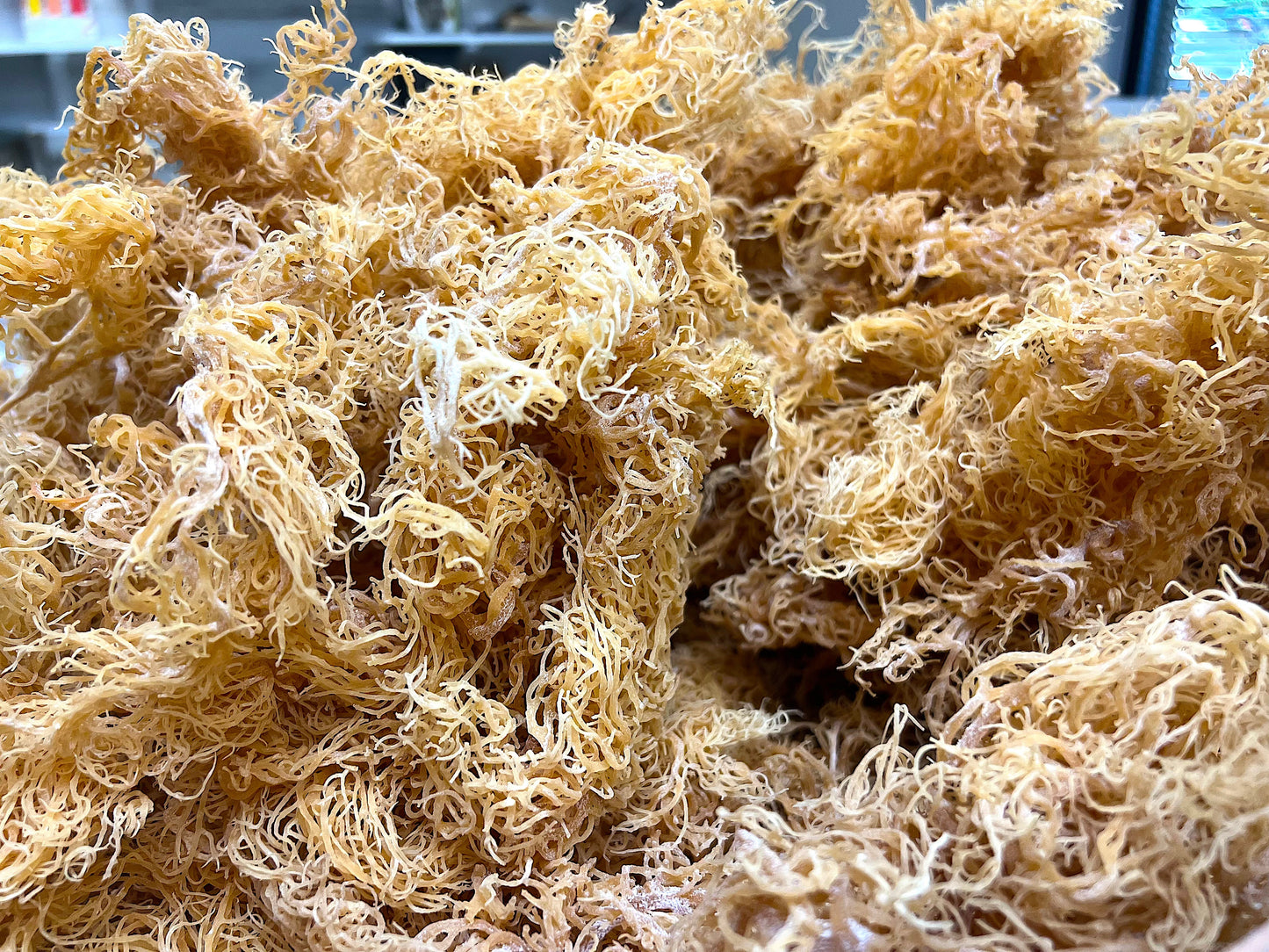 Wholesale Sea Moss
