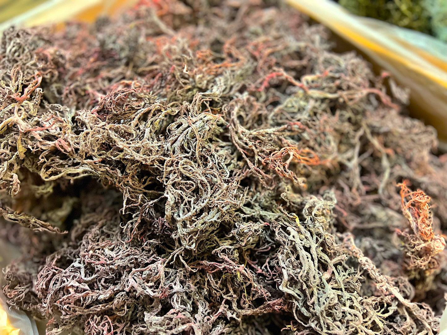 Wholesale Sea Moss