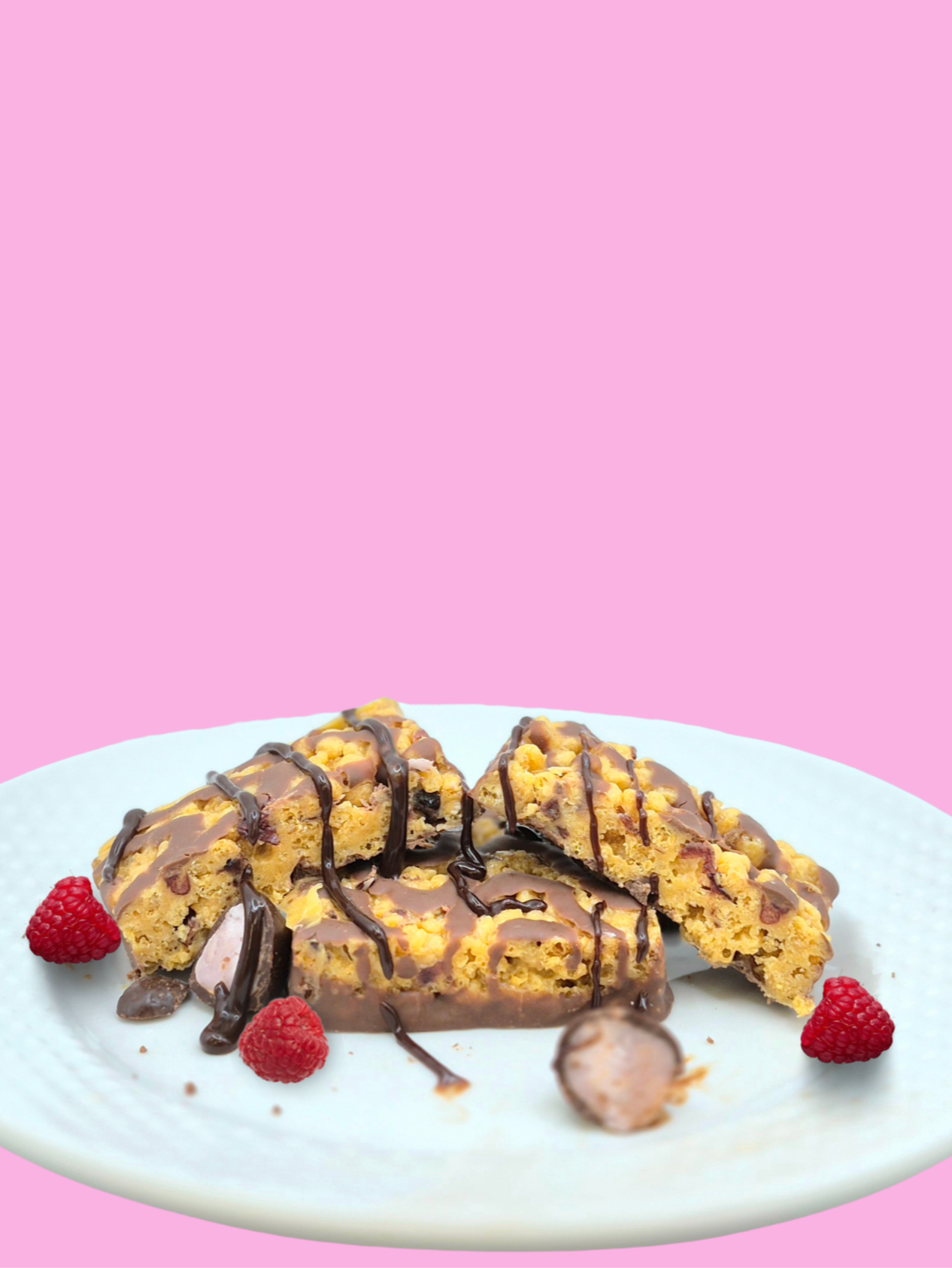 Raspberry Dark Chocolate Squares - ProtiDiet