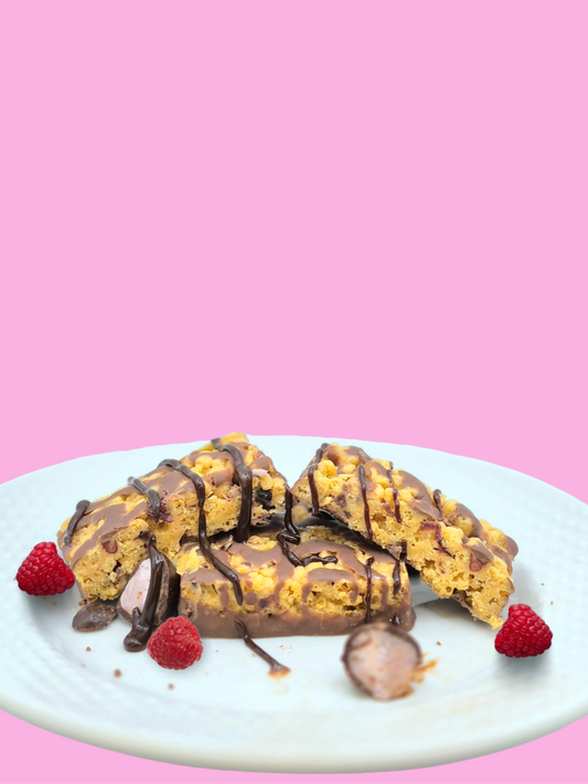 Raspberry Dark Chocolate Squares - ProtiDiet
