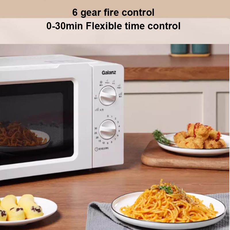 Electric Microwave Oven