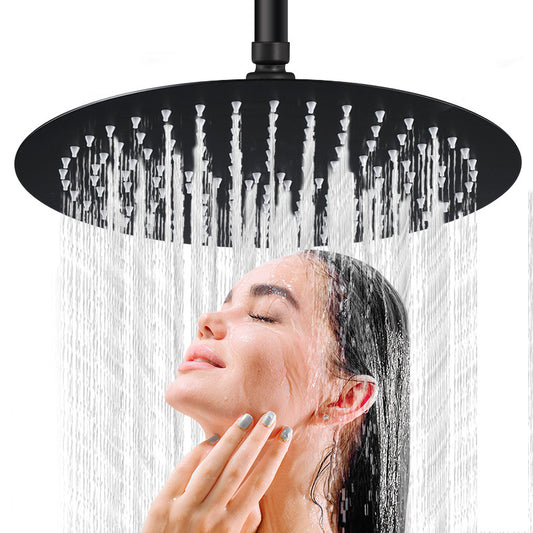 Matte Black Stainless Steel Shower Head