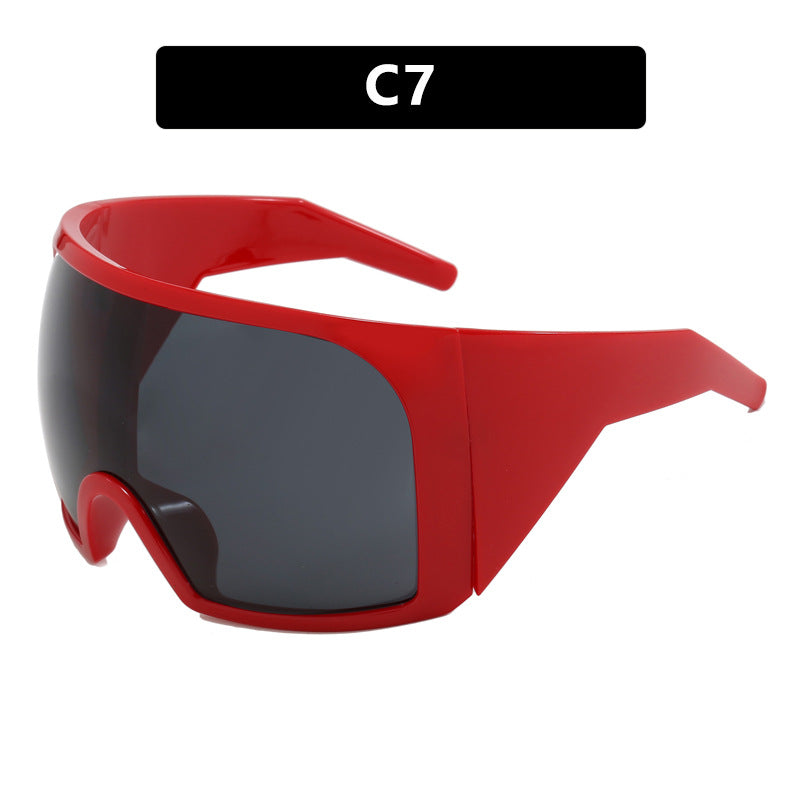 Oversized Frame Sunglasses