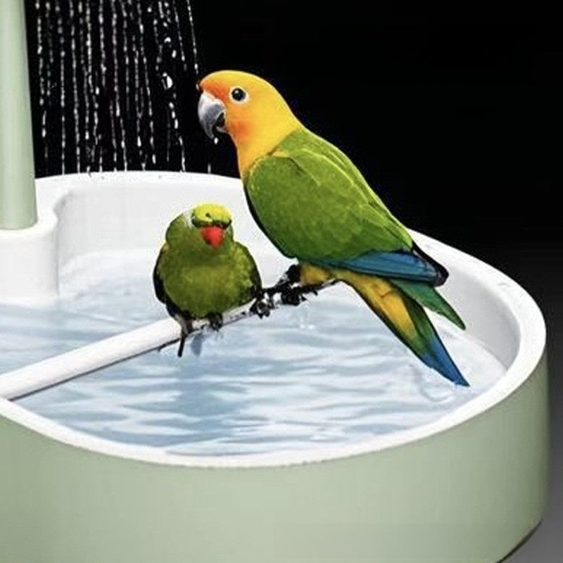 Bird Bath with Water Circulation System