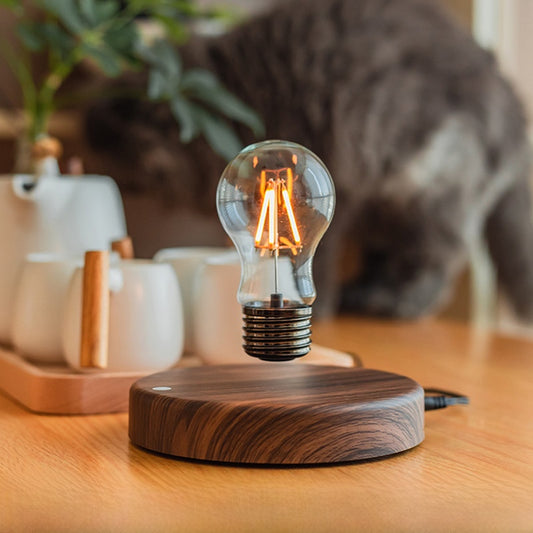 magnetic floating light bulb