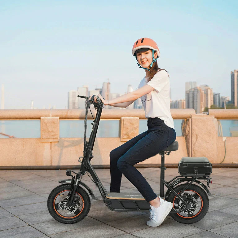 FREEBOY H14 Electric Scooter