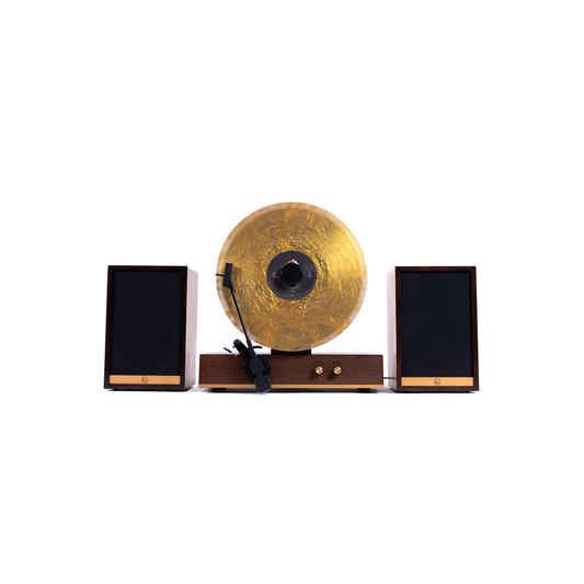 Vertical Vinyl Record Player with Speakers