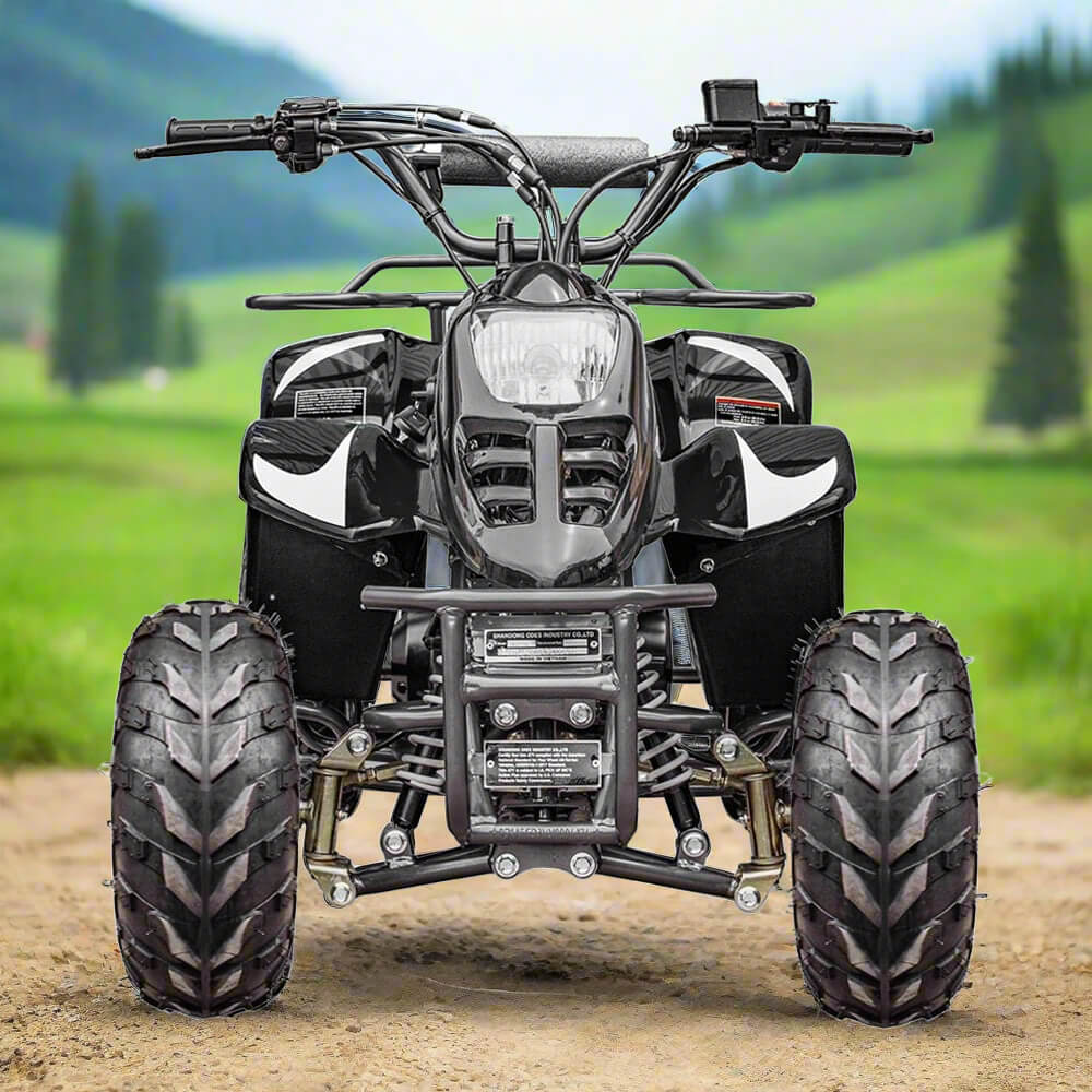 MotoTec Rex 110CC 4-Stroke Mini 4 Wheeler Gas ATV Quad, Black (95316842)