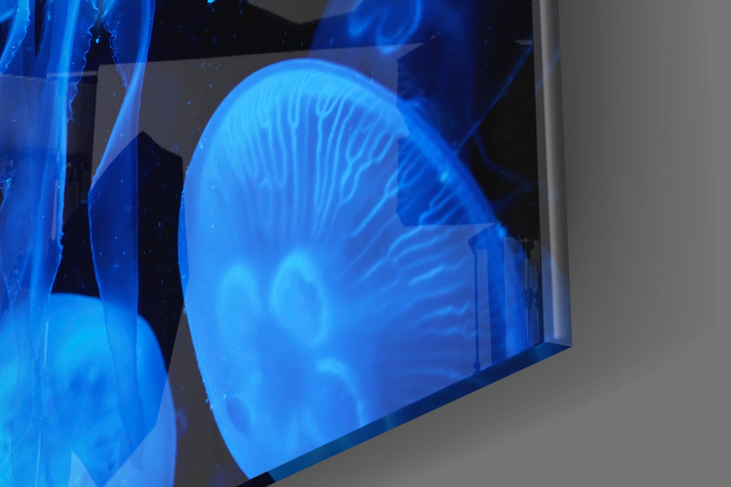 Jellyfish Glass Wall Art