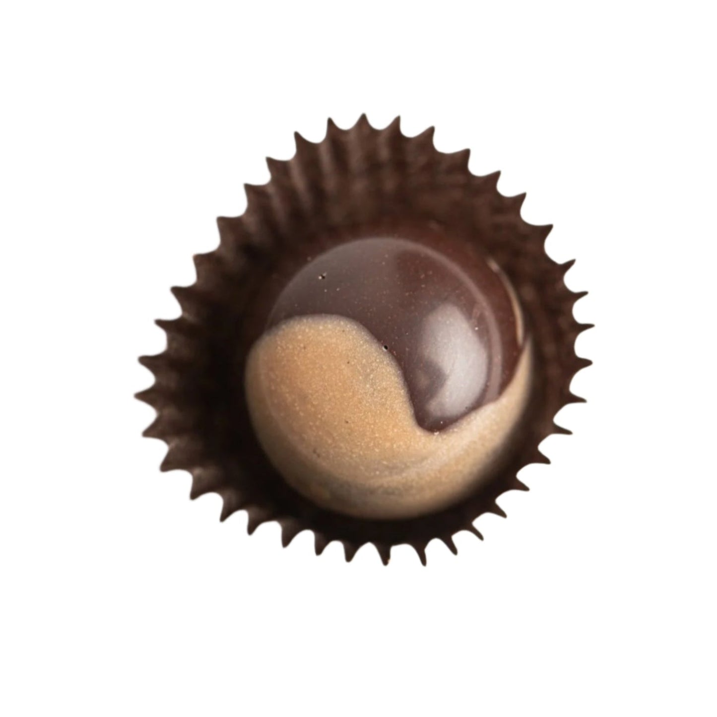 Maine Maple Vanilla Bonbons GIft Box